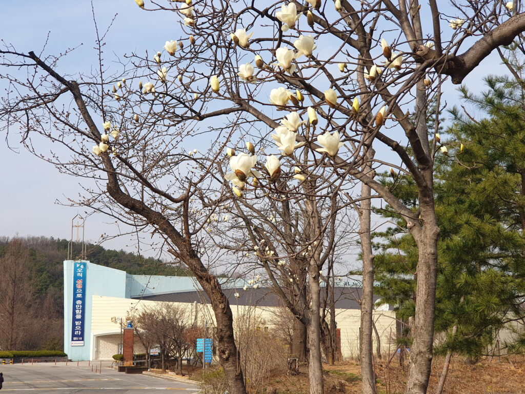 오산리_기도원_4월2021-04-05-00-09-13-19