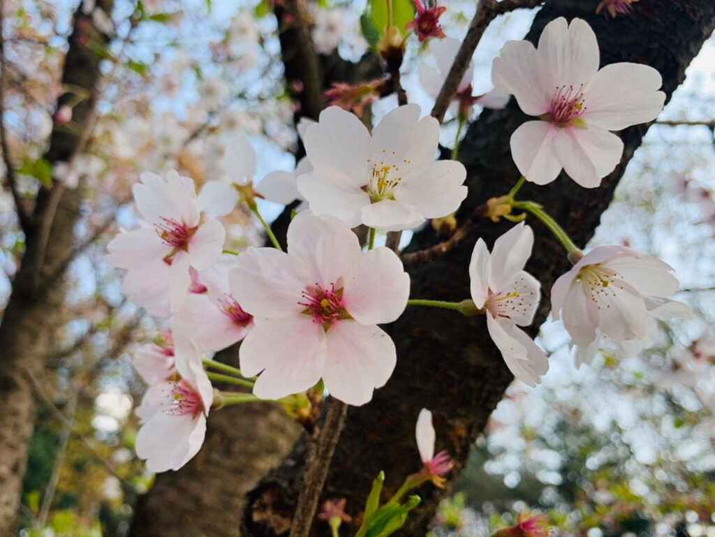 오산리_기도원_4월2021-04-05-00-09-13-23