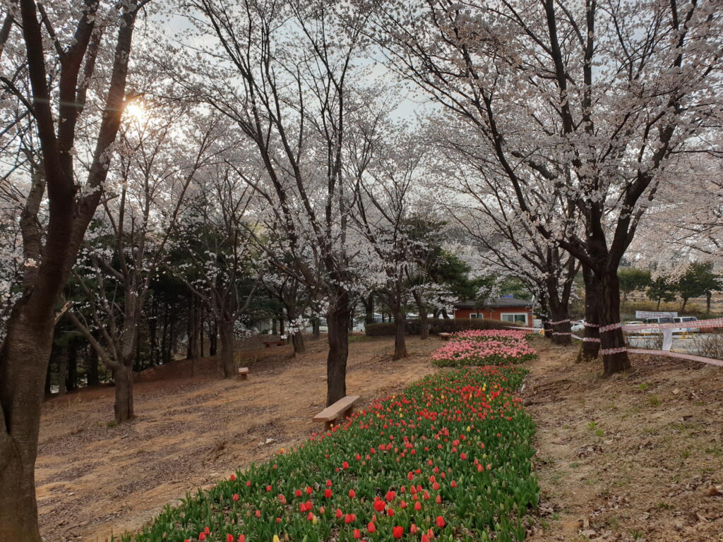 오산리_기도원_4월2021-04-05-00-09-13-27
